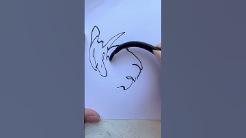 Cat Warped Filter Drawing Trend