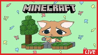新しいマイクラをする配信