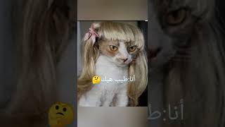 شكلي وقت أتصور لإعلان صبغة الشعر?