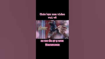 Tại sao chúng ta không chi tiết cố gắng mà cần nỗ lực... #lưudiệcphi #liuyifei #xiaozhan #tiêuchiến