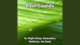 Caressing Rain Sound Effect