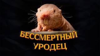 ГОЛЫЙ ЗЕМЛЕКОП | Жизнь — это так ужасно!