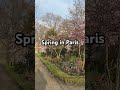 Spring in paris parislife lifeinparis paris spring parisianvibes parisiancharm