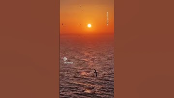 Thumbnail of Helal et… #niranünsal
