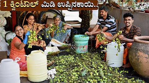 100kg Maavina midi uppinakayi | 1 quintal ಮಿಡಿ ಉಪ್ಪಿನಕಾಯಿ | Tender mango pickle | Kannimanga achar