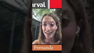 ¿QUÉ ES GALERÍA 9?
