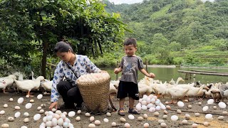 3 Rainy Days: The Life of a 17-Year-Old Single Mother - Harvesting duck eggs and cleaning the farm