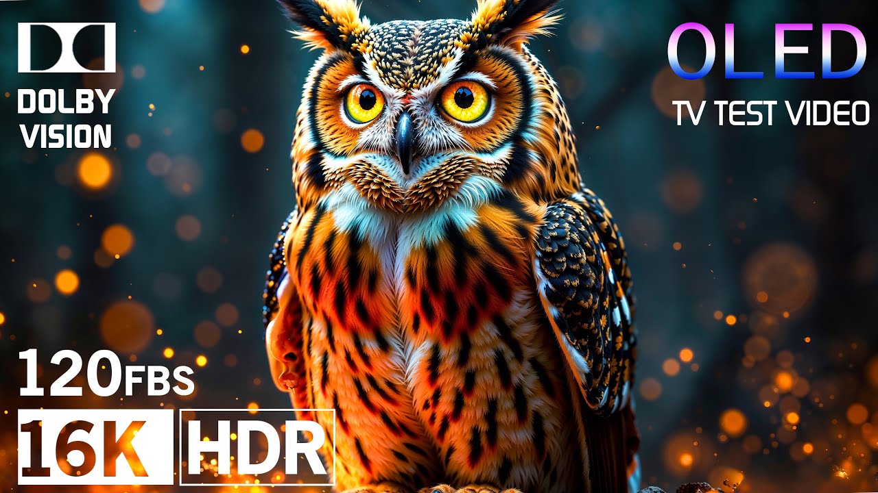 Vibrant colors 💥 16K HDR 120 FPS video - Dolby Vision (4K / 8K / 12K TV)