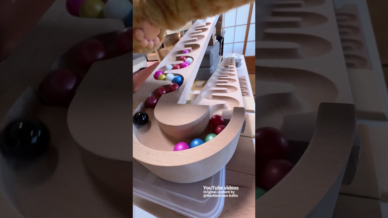 Marble Run and Cat Paws ☆ ASMR Video for Soothing and Laughter. Vol. 98
