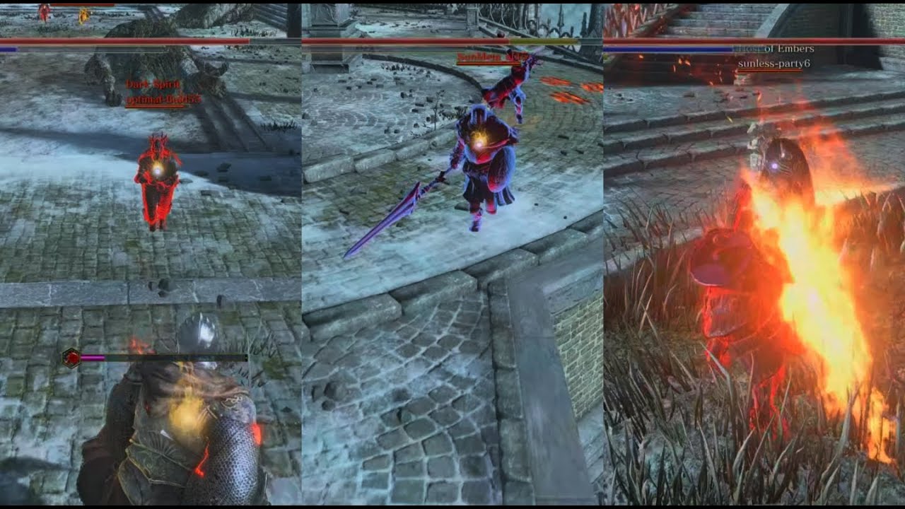 THE MOST HATED PLAYER IN DS3 WITH ALL HIS ACCOUNTS