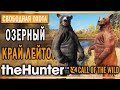 theHunter Call of the Wild #4 🐰 - Озерный Край Лейтон (часть 3) - Свободная Охота
