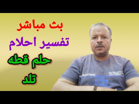 تفسير احلام مباشره حلم قطه تلد تفسير الاحلام