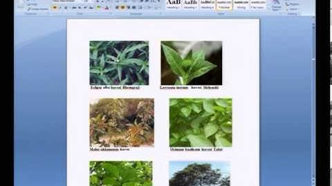 Mod-01 Lec-10 Lecture-10 Natural Dyes