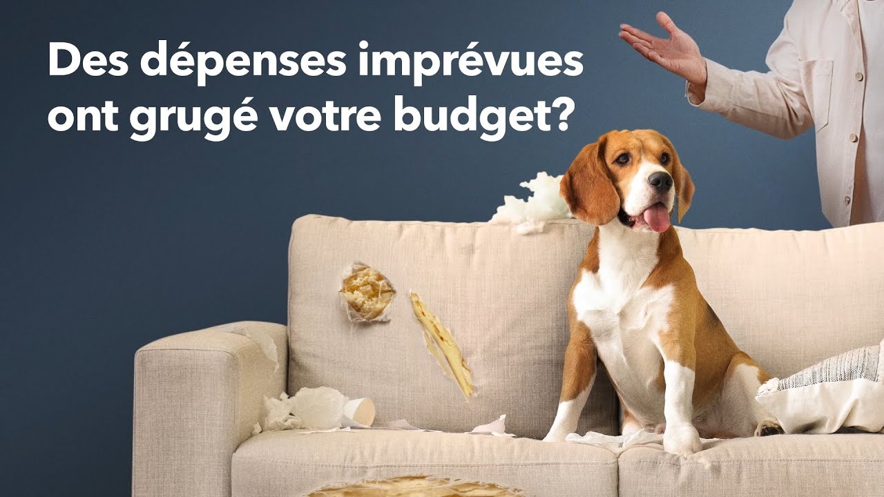 Co-operators Assurance et Services Financiers — Co-operators: Bundle Home & Auto Insurance for Savings (YouTube video ad)