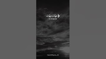 سورة المؤمنون || آية 34-35-36-37-38-39-40 || صفحة 342 ياسر الدوسري