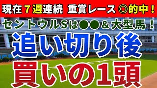セントウルステークス2020 は●●＆大型馬！【追い切り後 ⇒ 買いの1頭】公開！