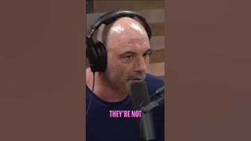 Monkeys and Chimps Entering the Stone Age: Evolutionary Phenomenon Revealed