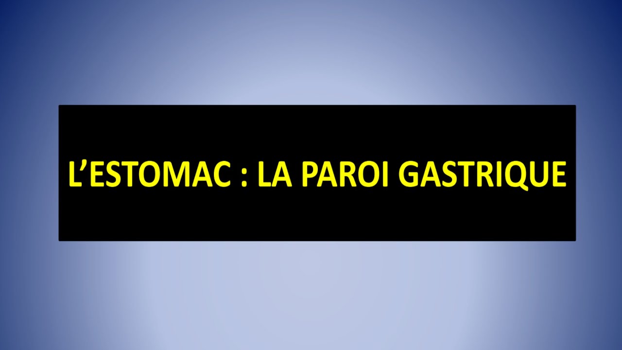 HISTOLOGIE DE LA PAROI GASTRIQUE