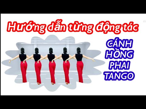 💃 HƯỚNG DẪN CHẬM NHẢY TANGO CÁNH HỒNG PHAI💃 / NHẢY CÙNG HƯỚNG / Tú Anh Nhảy vuông