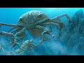10 Terrifying Prehistoric Creatures That Actually Existed