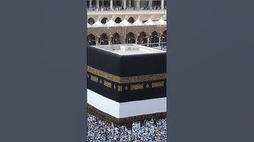 الدال على الخير كفاعله | قران كريم