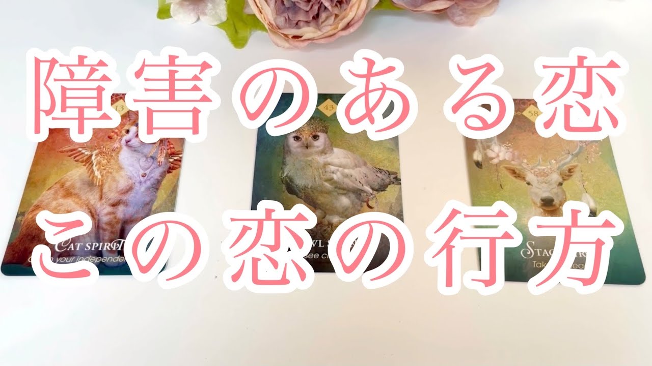 障害のある恋❤️この恋の行方❤️タロットカード、オラクルカードを使用して今回もリーディングをお届けします😊