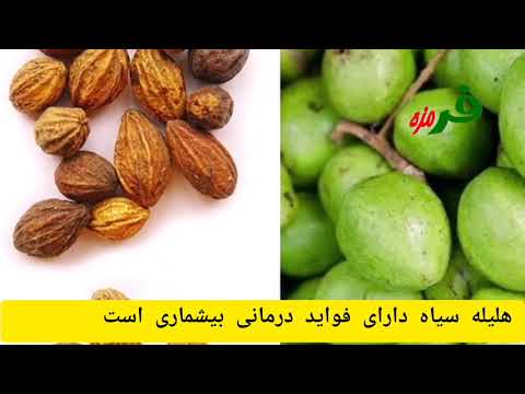 هلیله  