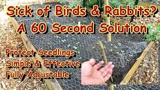 Save Your Garden Seedlings & Transplants from Birds & Rabbits - A Simple & Effective Solutions