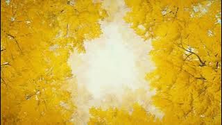 Background Video Daun Musim Gugur Keren