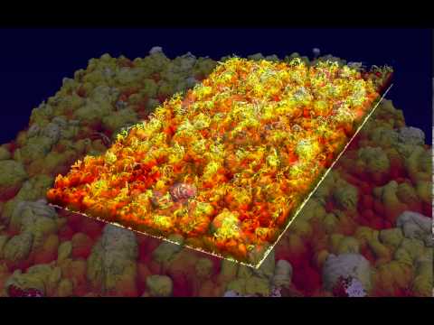 Evolution of the enstrophy interface in boundary layers