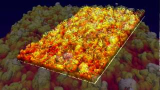 Evolution of the enstrophy interface in boundary layers
