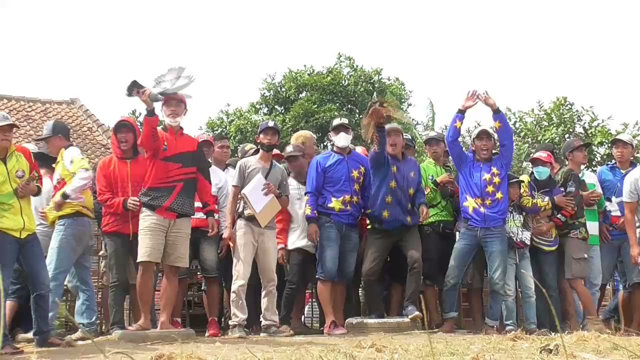 Lomba Utama Merpati Balap Lap, PANGKALAN