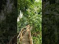 Tropical Rainforest at Oceanário de Lisboa. #beautiful #oceanarium #lisboa #lisbonvlog #lisboa