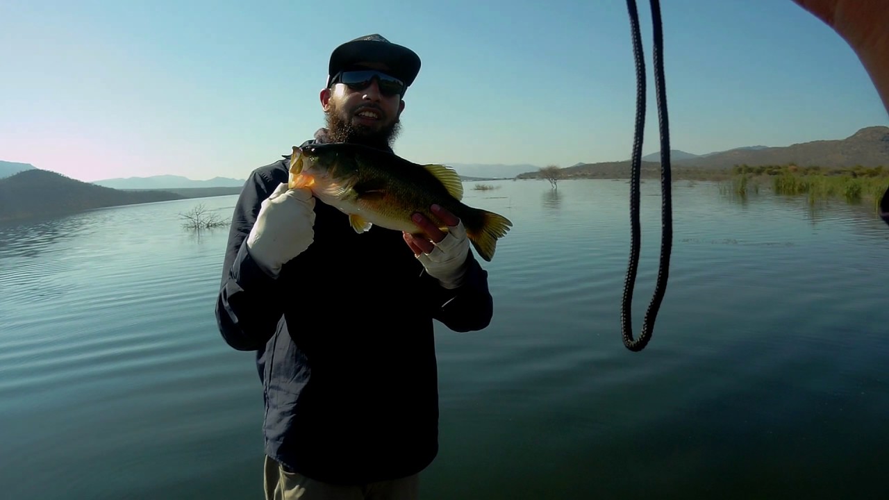 De Hoop dam Broken line and winter topwater bites YouTube