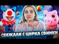 СБЕЖАЛИ С ЦИРКА СВИНКИ ПИГГИ в ROBLOX...