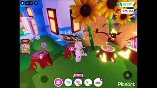 HAVING A 1M+ ACORNS SHOPPING SPREE IN ADOPT ME! SUMMER CAMP EVENT IS ENDING..