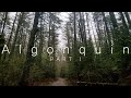 Camping Algonquin Park