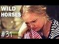 Wild horses  episode 31  srie complete en franais romance famille