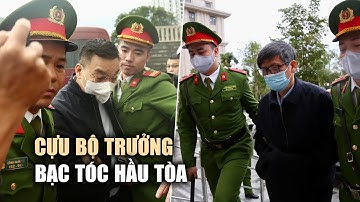 Cựu bộ trưởng Nguyễn Thanh Long, Chu Ngọc Anh bạc tóc hầu tòa đại án Việt Á