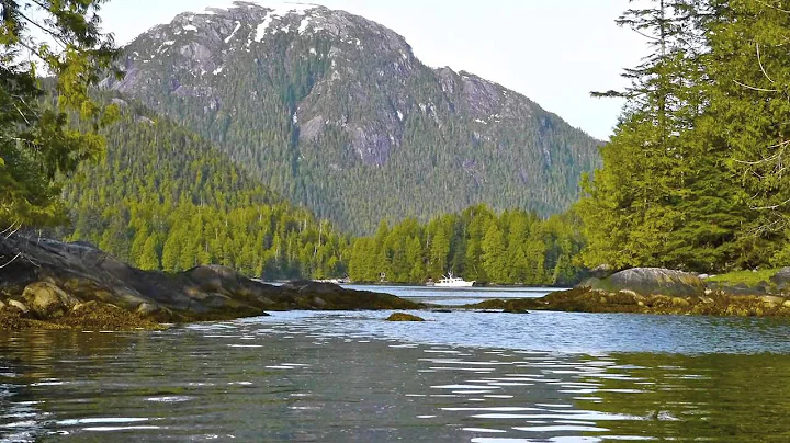 Venture to Alaska. Part 1 - Vancouver Island to Tr...