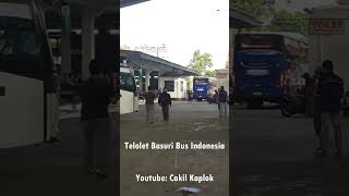 Telolet Basuri V3 Bus Sumber Alam 43OC Bintang Reborn shorts viral shortsvideo viralvideo