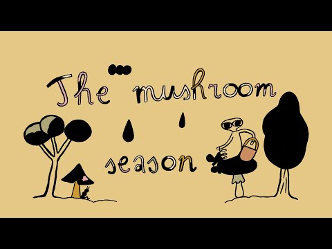 The Mushroom Season