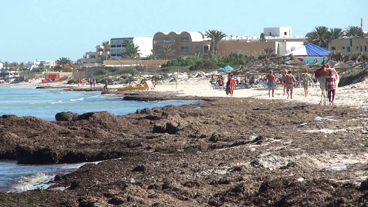 Грязные пляжи гоа Грязные пляжи гоа