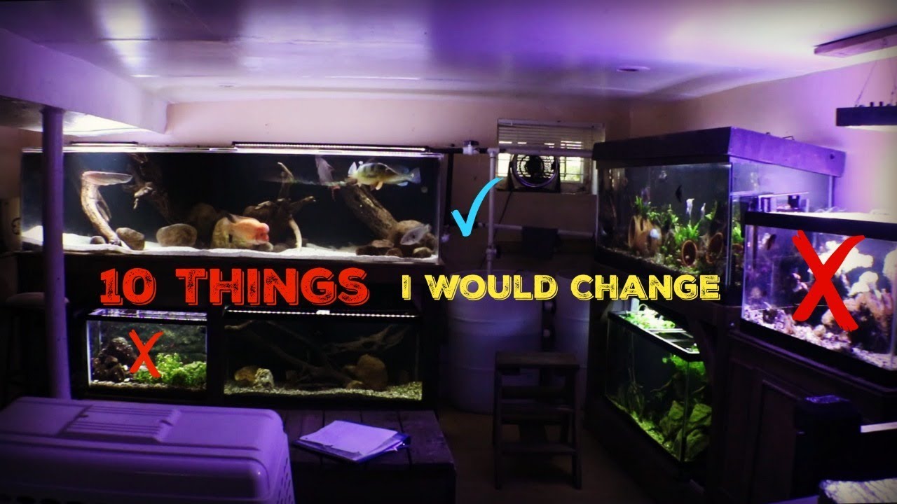 aquascape filter 10 Things I Would CHANGE About My Fishroom