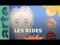 Pourquoi avonsnous des rides   vos questions   arte