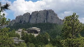 MIND BOGGLING SCALE - THE GREAT TREES