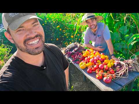 Thumbnail for This Tomato Harvest Got Out of Hand…