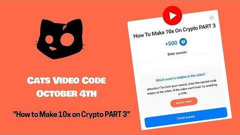 Cats Video Code October 4th How to Make 10x on Crypto PART 3