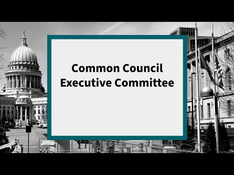Common Council Executive Committee: Meeting of March 30, 2021