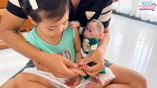 Monkey Lily's funny reaction when meeting baby Chun again